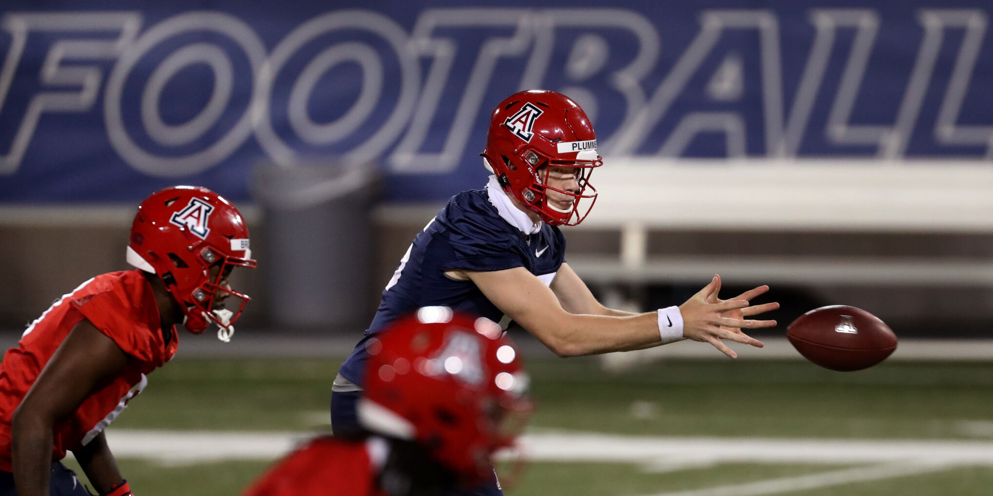 Arizona Wildcats